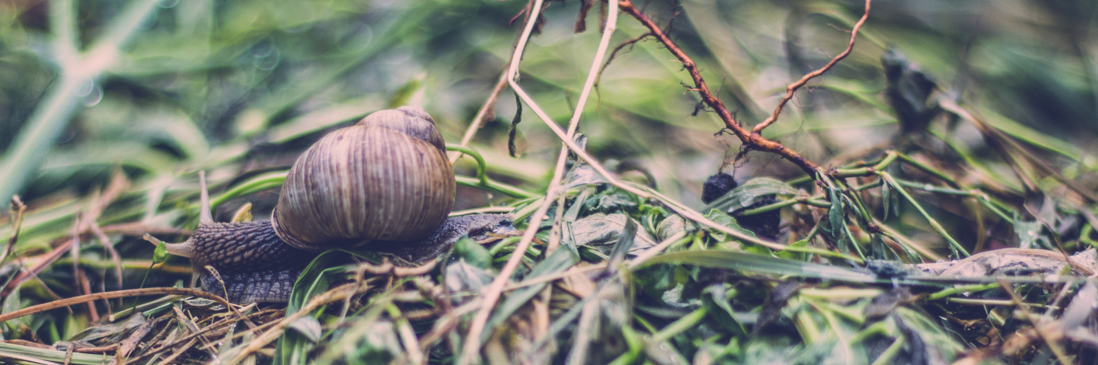 How to implementing cache tagging with APC or Memcache without hurting performance